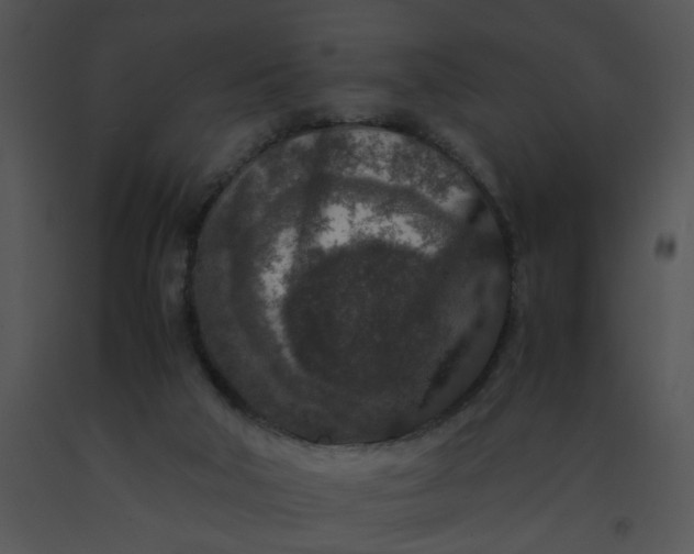 X0000091520018200708311259