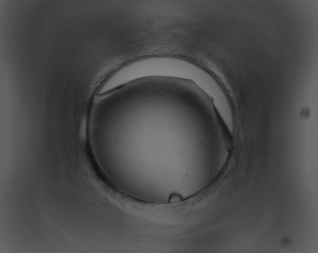 X0000091520019200708311259