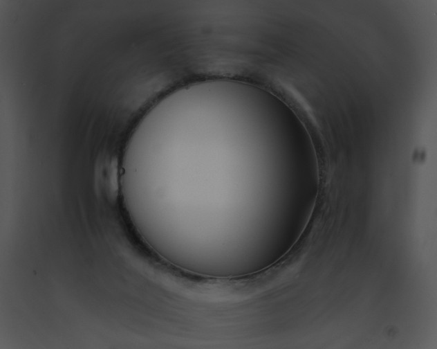 X0000091520020200708311259