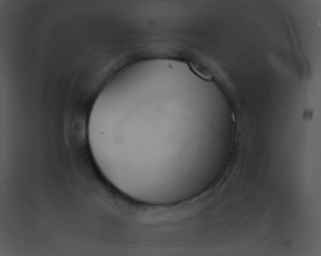 X0000091520021200708311259