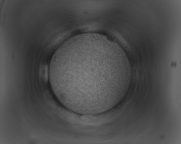 X0000091520022200708311259