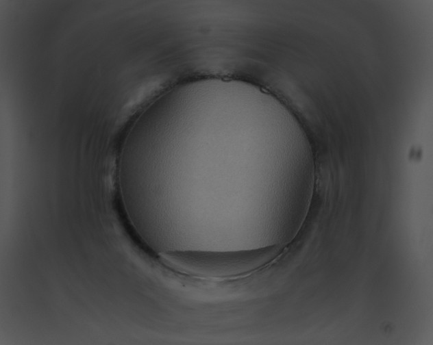 X0000091520023200708311259