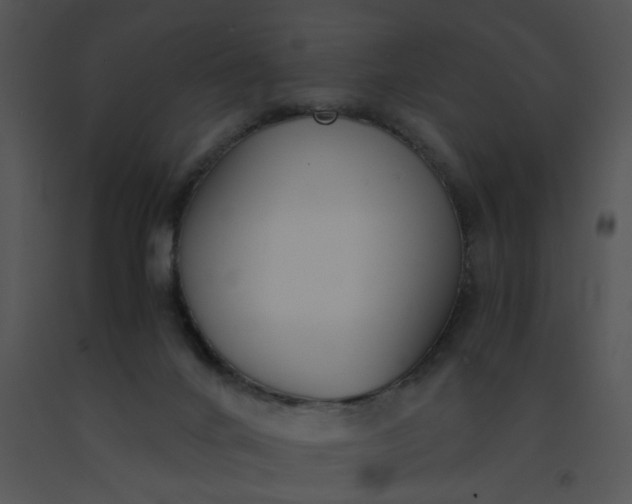 X0000091520024200708311259