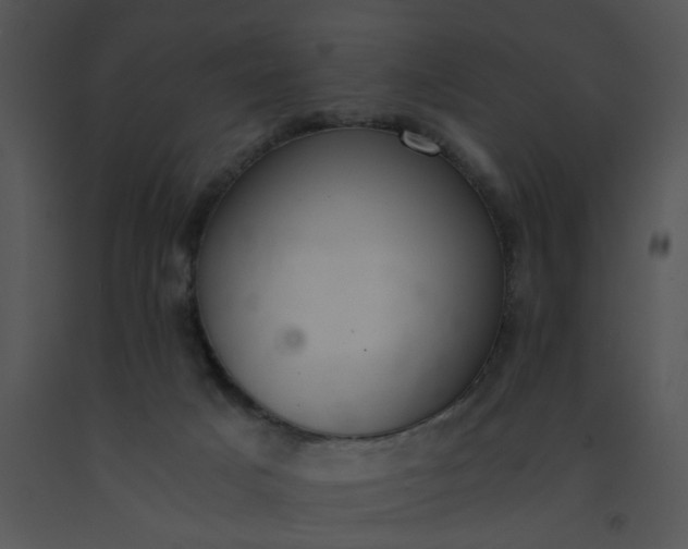 X0000091520025200708311259