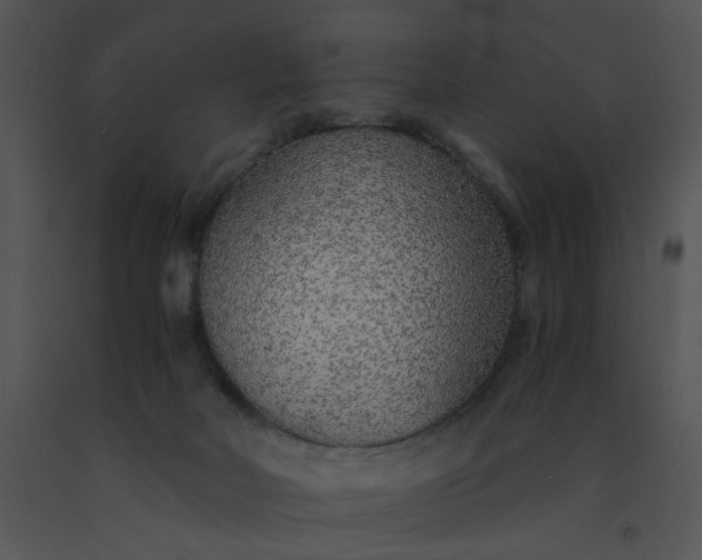 X0000091520026200708311259