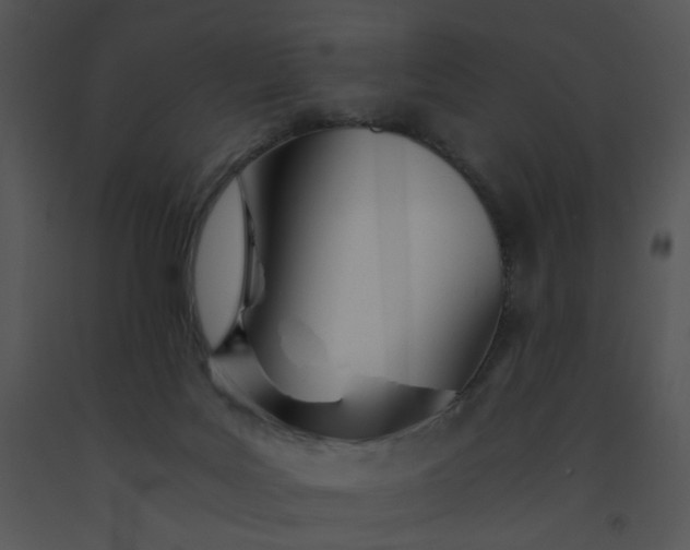 X0000091520027200708311259