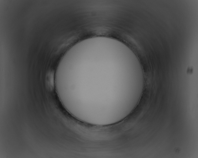 X0000091520028200708311259