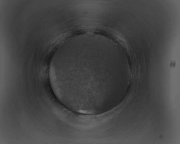 X0000091520029200708311259