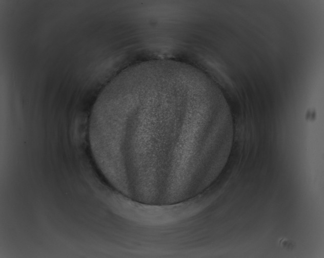 X0000091520030200708311259