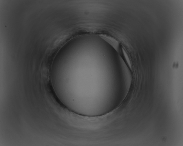 X0000091520031200708311259