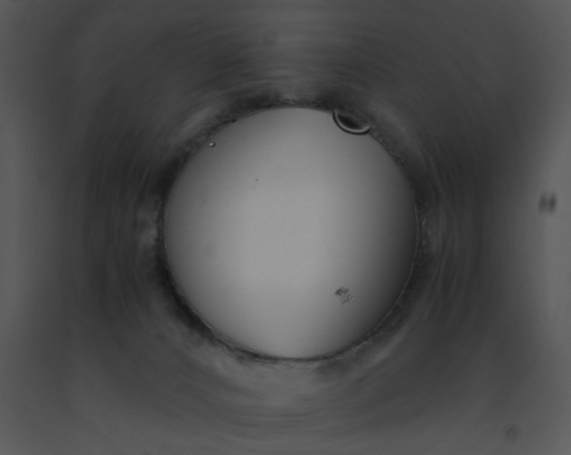 X0000091520032200708311259