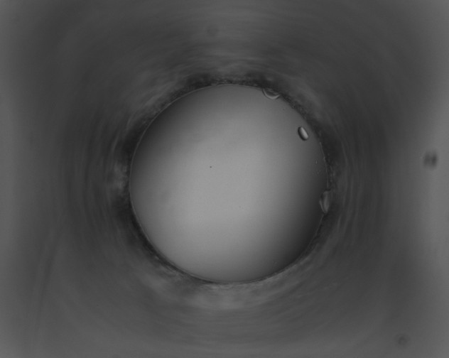 X0000091520033200708311259