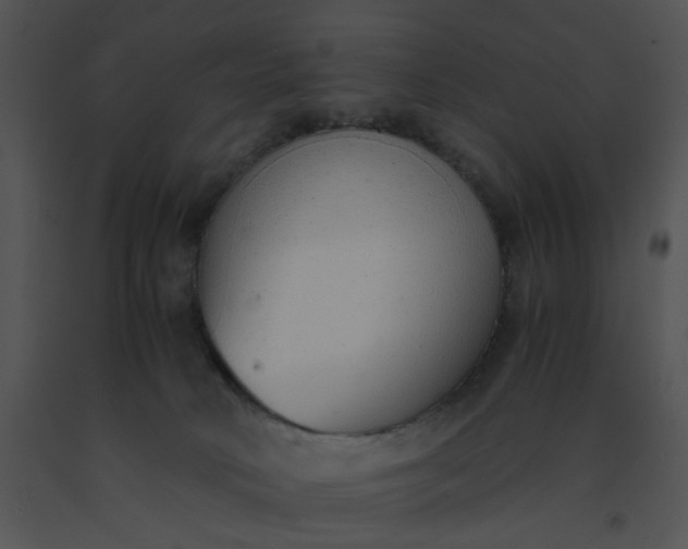 X0000091520034200708311259