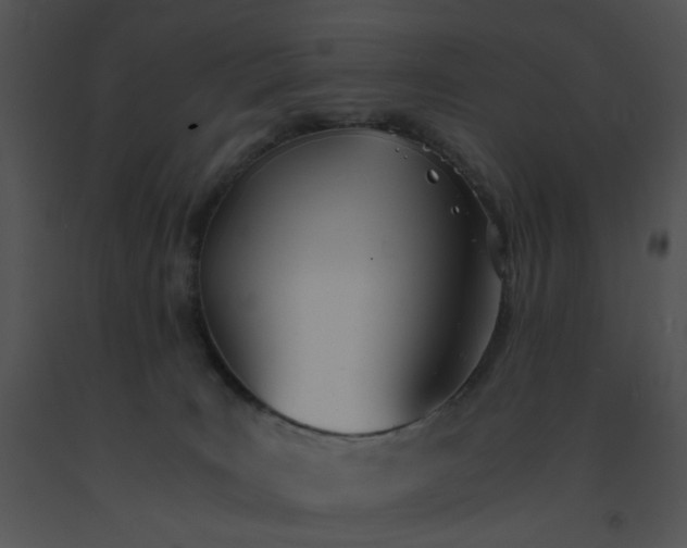 X0000091520035200708311259