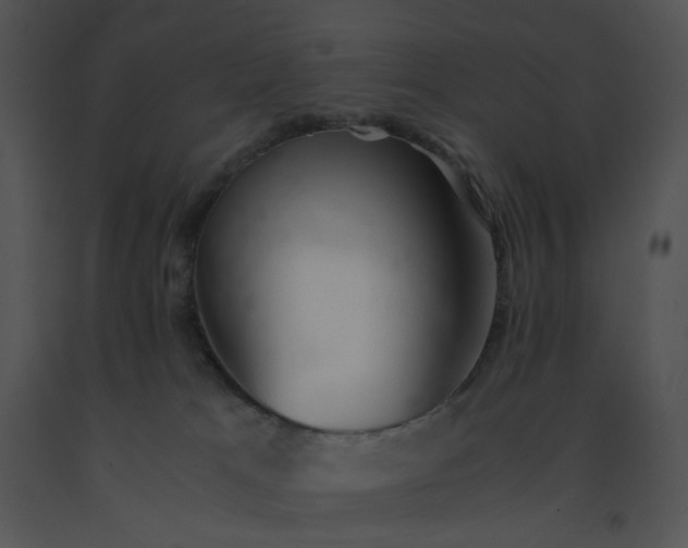 X0000091520037200708311259