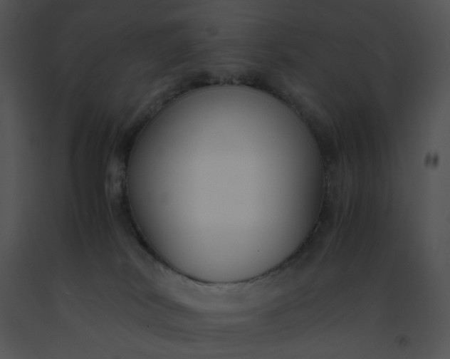 X0000091520038200708311259