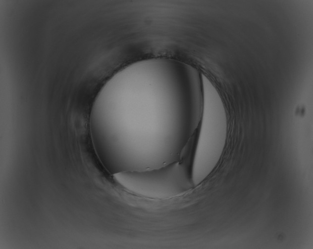 X0000091520039200708311259