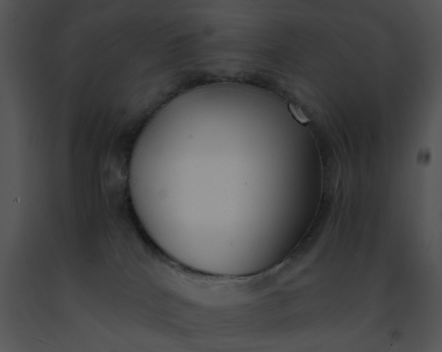 X0000091520040200708311259