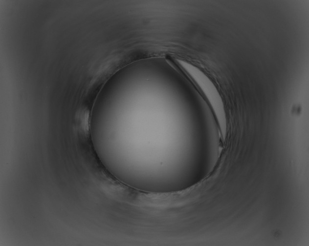 X0000091520041200708311259