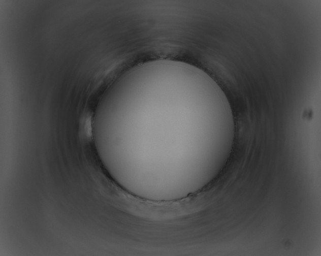 X0000091520042200708311259