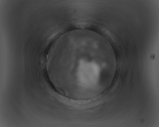 X0000091520043200708311259