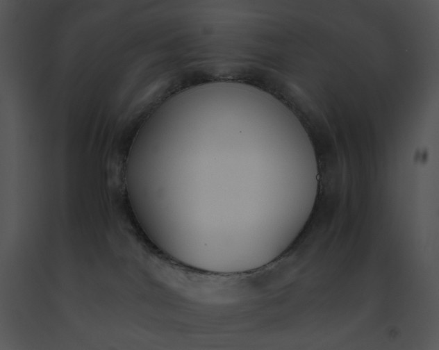 X0000091520044200708311259