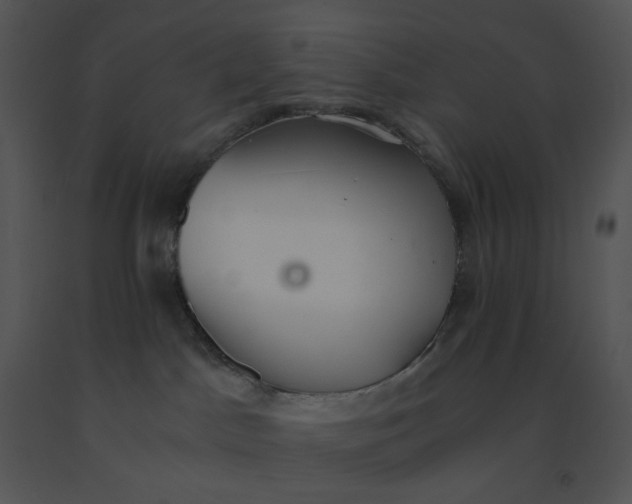 X0000091520045200708311259