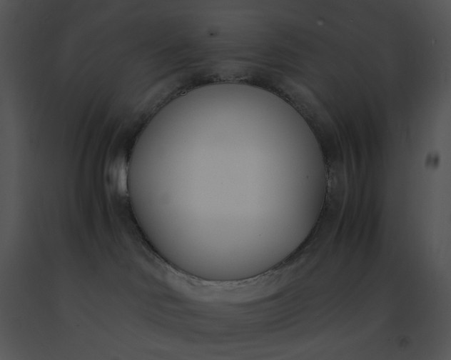 X0000091520046200708311259