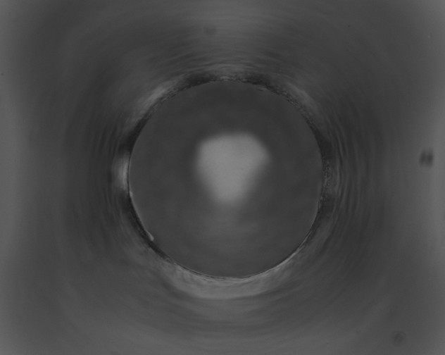 X0000091520047200708311259