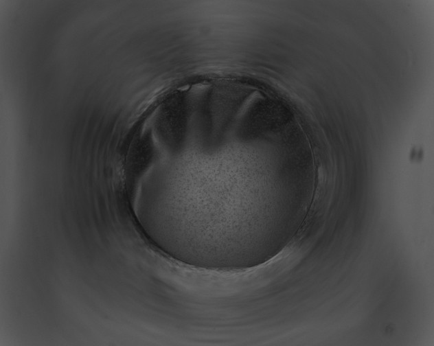 X0000091520048200708311259