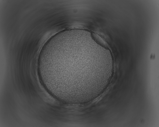 X0000091520049200708311258