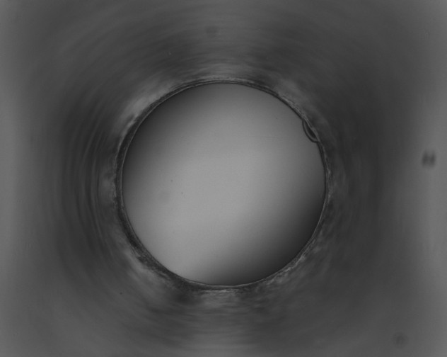 X0000091520050200708311258