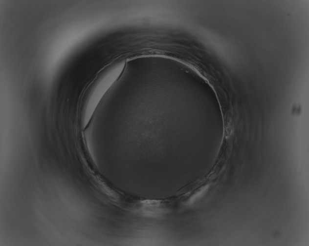 X0000091520052200708311258