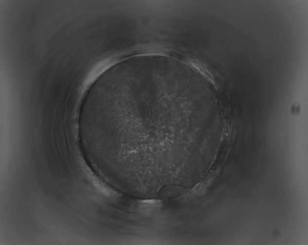 X0000091520053200708311258