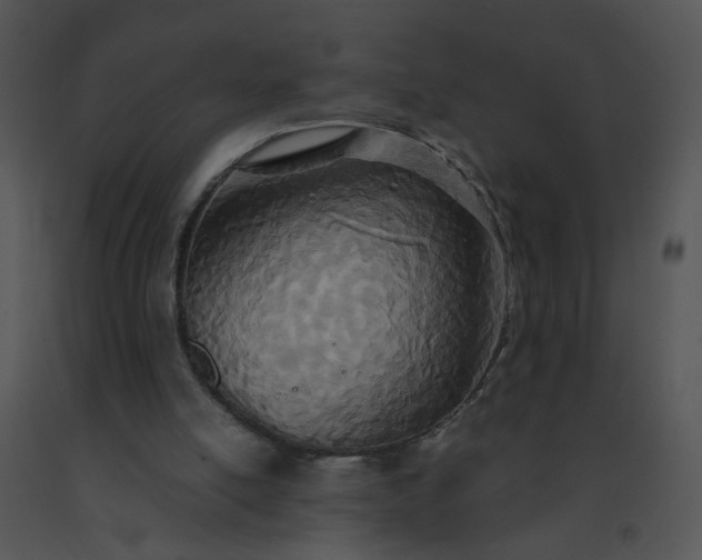 X0000091520054200708311258