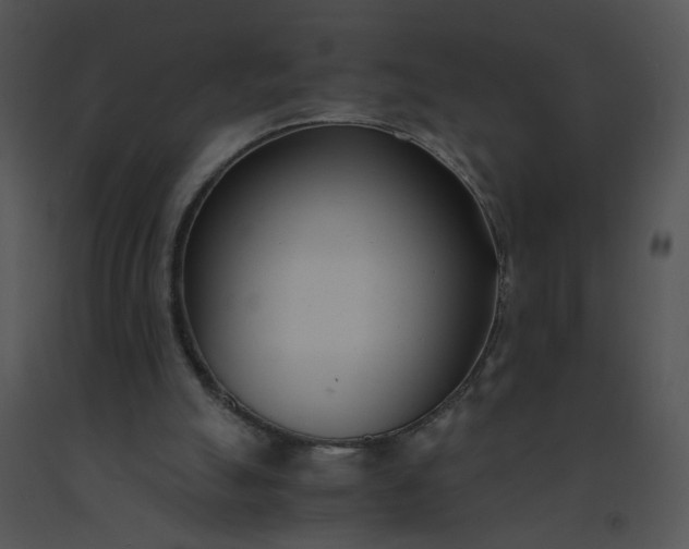 X0000091520055200708311258