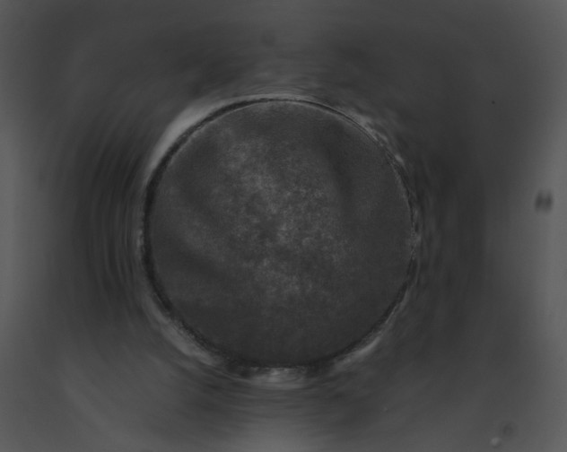 X0000091520056200708311258