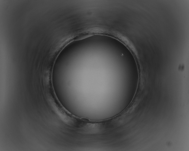 X0000091520057200708311258