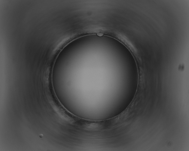 X0000091520058200708311258