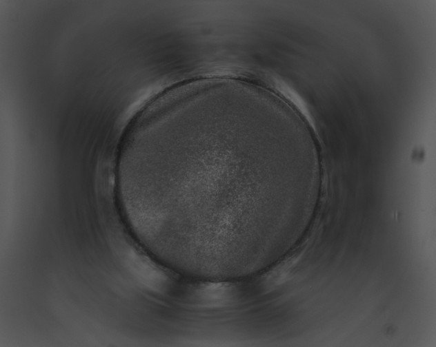 X0000091520059200708311258