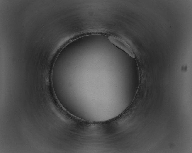 X0000091520060200708311258