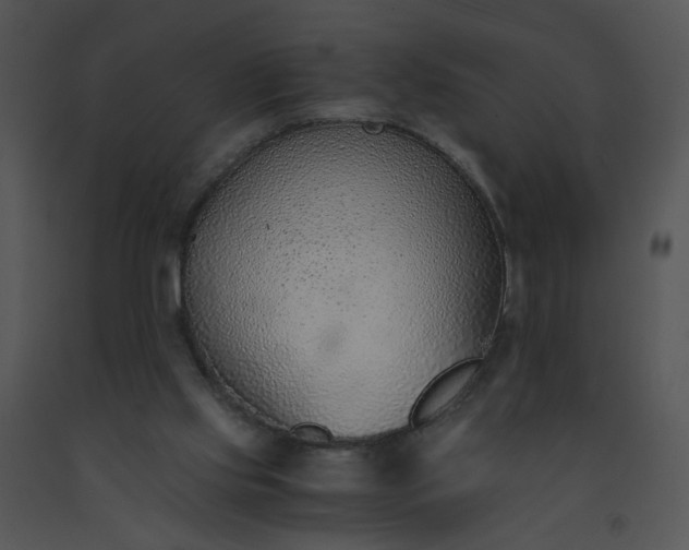 X0000091520061200708311258