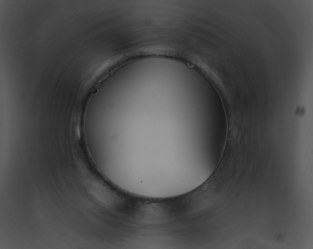 X0000091520062200708311258