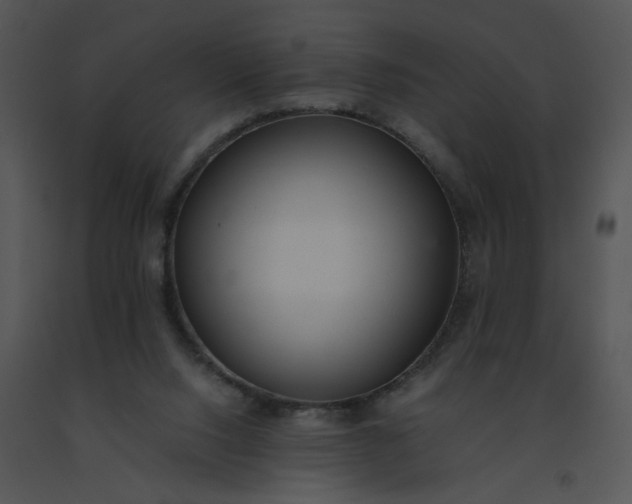 X0000091520064200708311258