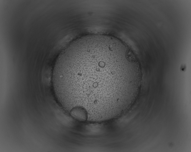 X0000091520065200708311258