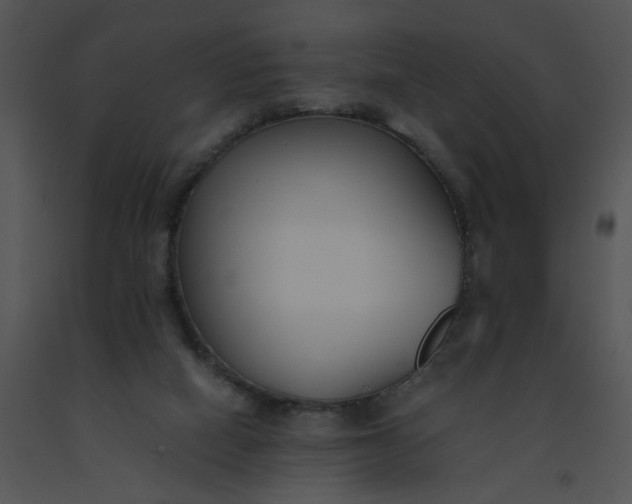 X0000091520066200708311258