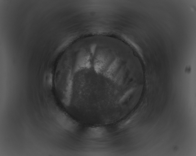 X0000091520067200708311258