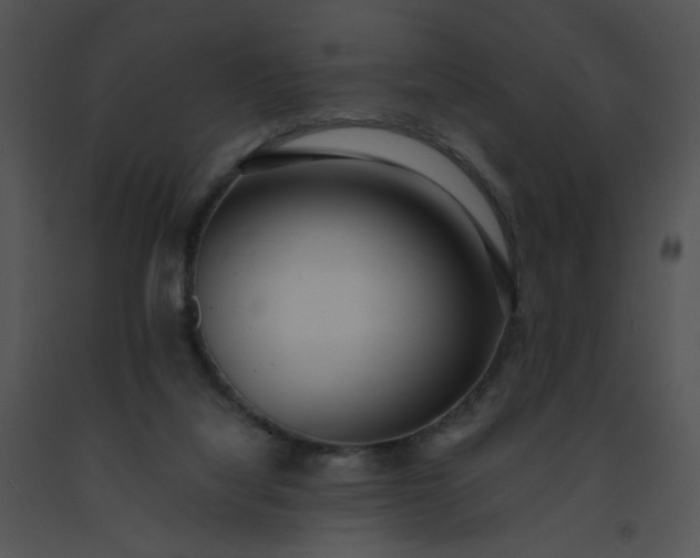 X0000091520068200708311258