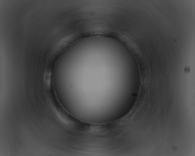 X0000091520070200708311258