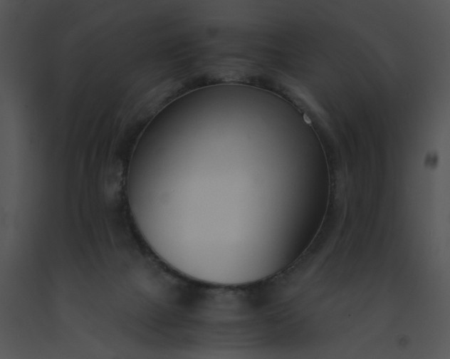 X0000091520073200708311258